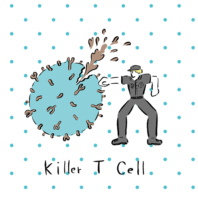 細胞 イラスト はたらく はたらく細胞白血球イラスト 366143